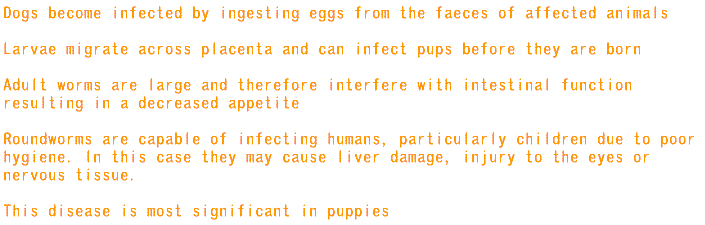 roundworm_info1